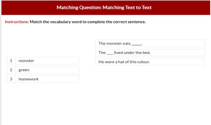 Matching_Question_-_Text_to_Text.JPG