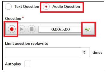 Add_Audio_Q.JPG